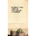 健康养生3759