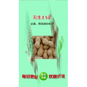 健康养生3761