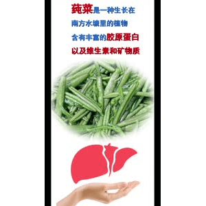 健康养生3765