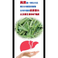 健康养生3765