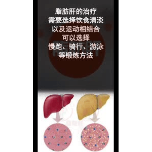 健康养生3775
