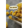 健康养生3794