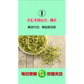 健康养生3800