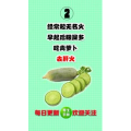 健康养生3813