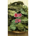 健康养生3815