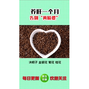 健康养生3816