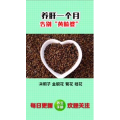 健康养生3816