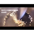 健康养生3823