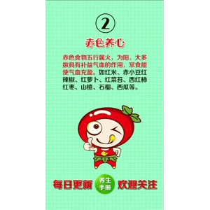 健康养生3852