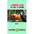 健康养生3854