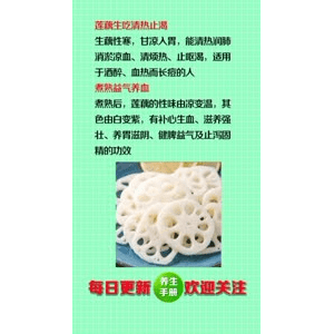 健康养生3873