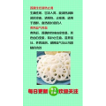 健康养生3873
