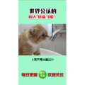 健康养生3907