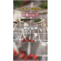 健康养生3916