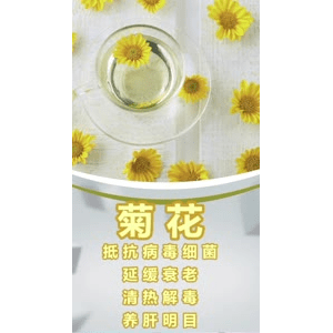 健康养生3932