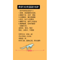 健康养生4003