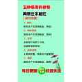 健康养生4006