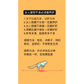 健康养生4059