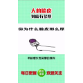 健康养生4068