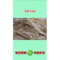 健康养生4107