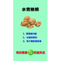 健康养生4138