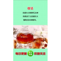 健康养生4146