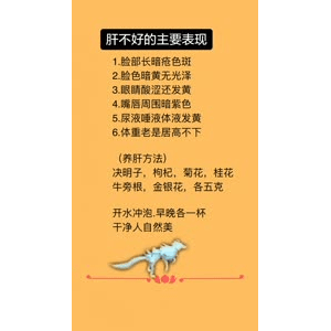 健康养生4172