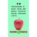 健康养生4173