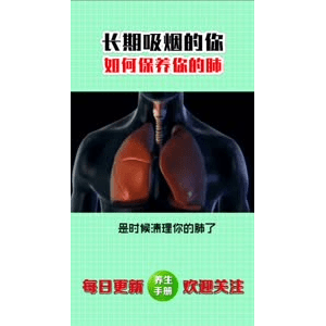 健康养生4222