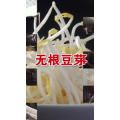 健康养生4252
