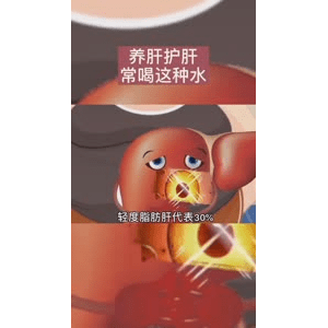 健康养生4263