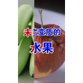健康养生4286