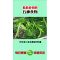 健康养生4305