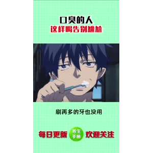 健康养生4314