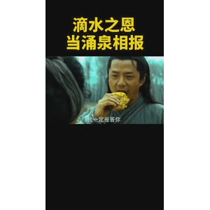 健康养生4437