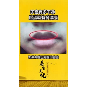 健康养生4442