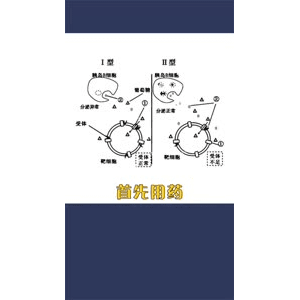 健康养生4477