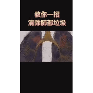 健康养生4492