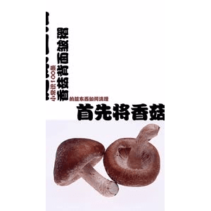健康养生4493