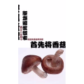 健康养生4493