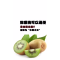 健康养生4514