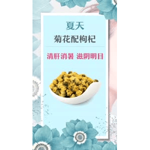 健康养生4581