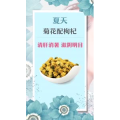健康养生4581