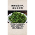 健康养生4607