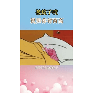 健康养生4619