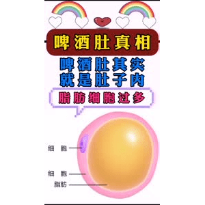 健康养生4629