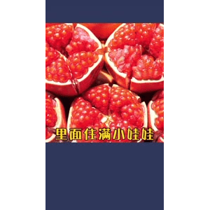 健康养生4674