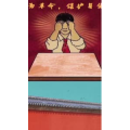 健康养生4687