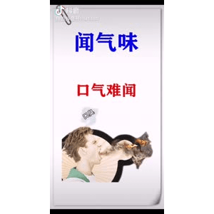 健康养生4732