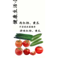 健康养生4740